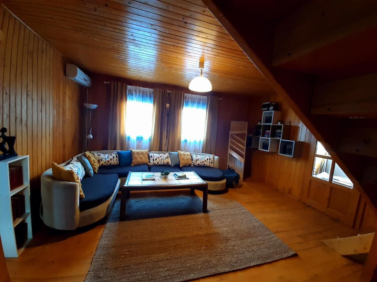 Pensiunea Valurile Dunarii Сфынту-Георге Экстерьер фото